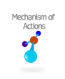 Mechanism of Actions